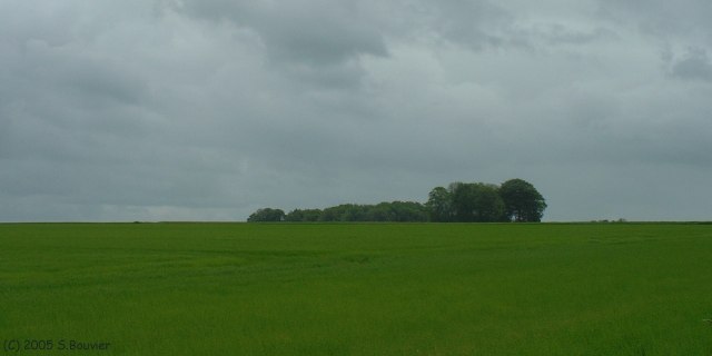 Plaine de Veauville (Lin)