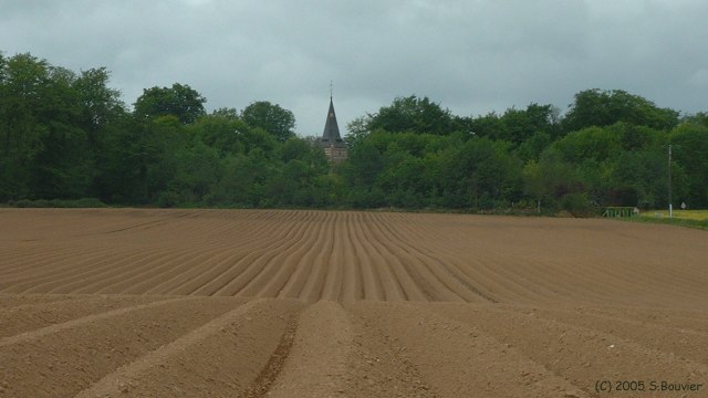 Plaine de Veauville (Eglise)