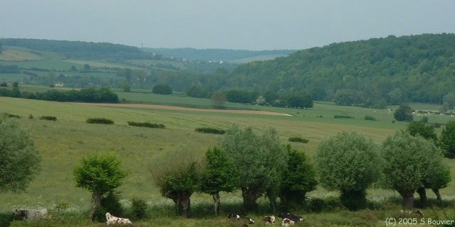Vallée de la Bresle (1)