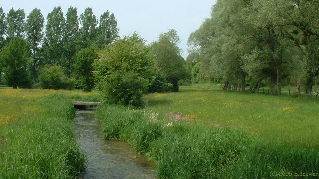 Vallée de la Bresle (2)