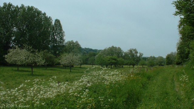 Vallée de la Bresle (4)