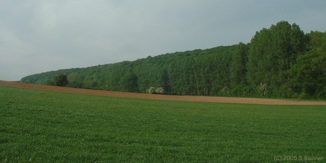 Haudricourt (Vallon)