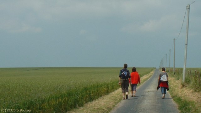 Etoutteville (Voie Romaine)