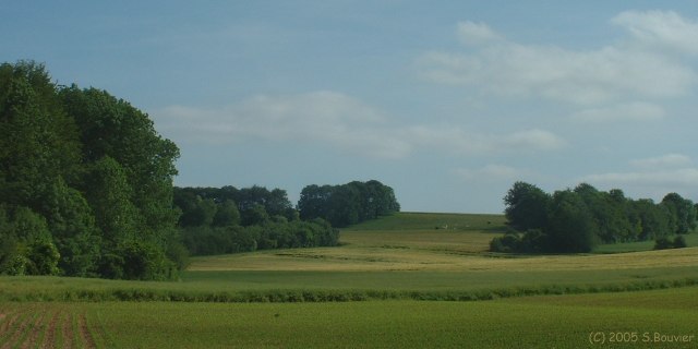 Ormesnil (Bois et Champs 1)