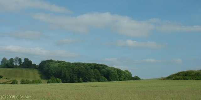 Ormesnil (Bois et Champs 2)