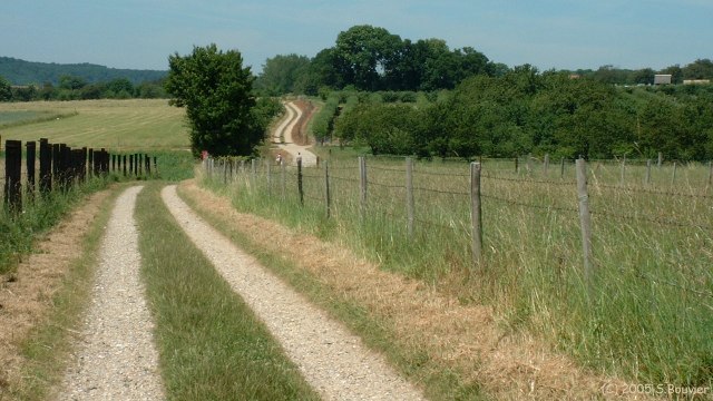Jumièges (Chemin)