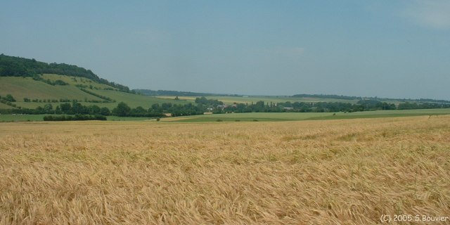 Vallée du Ruisseau de Bièvredent