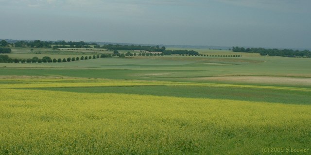 Hodeng Hodenger (Ligne)