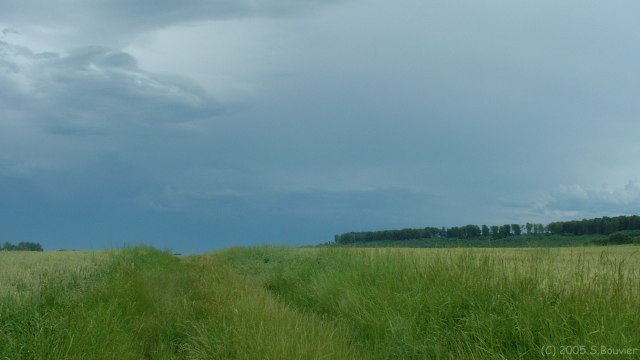 Hodeng Hodenger (Chemin)