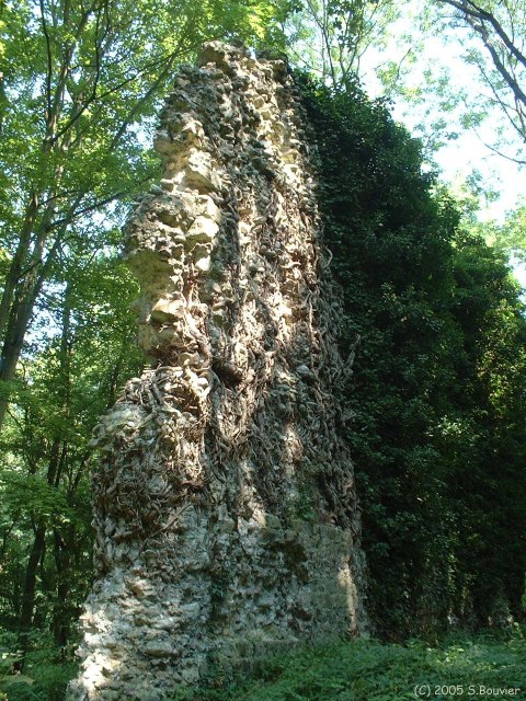 Bois d'Hautot (Ruine)