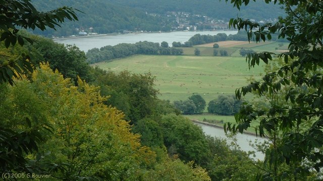 Forêt de Villequier (Caudebec)