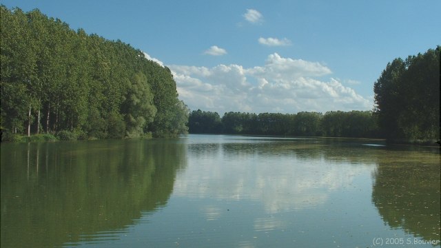 Nesle l'Hôpital (Etang)