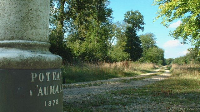 Forêt de Guimerville (Poteau)