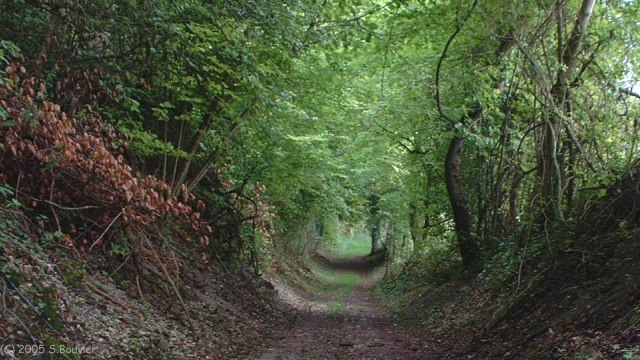 St Martin le Gaillard (Chemin 2)