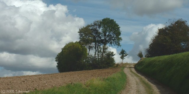Bazinval (Chemin 1)
