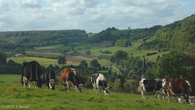 Bazinval (Grande Vallée)