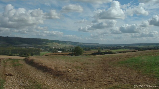 Bazinval (Chemin 2)