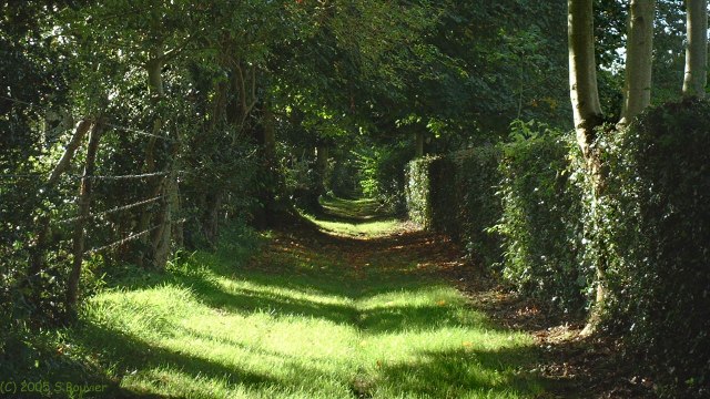 Bouillancourt (Chemin)