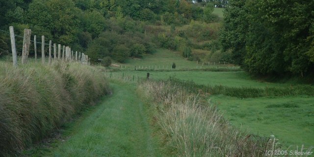 Tilloy-Floriville (Chemin)