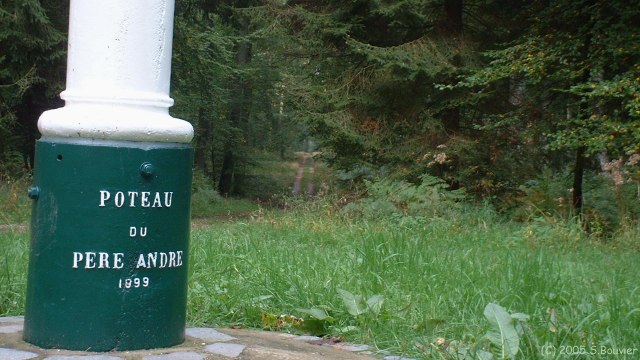 Forêt d'Eu (Poteau 5)