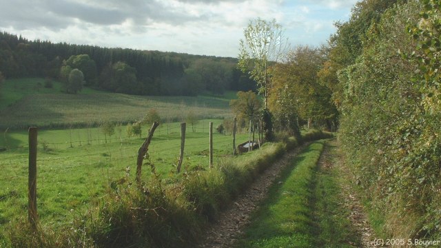 Fond d'Etrimont (1)