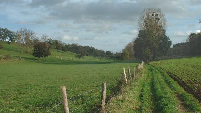 Fond d'Etrimont (2)