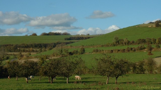 Wanchy-Capval (Vaches)
