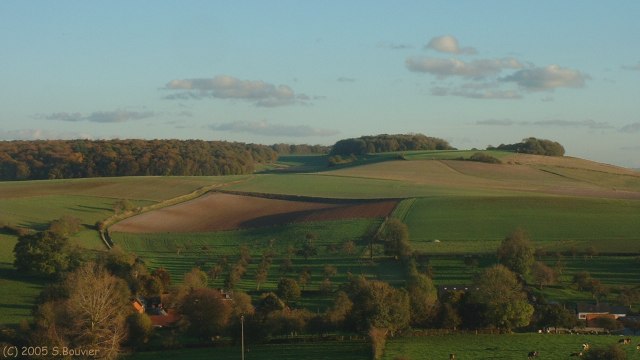 Wanchy-Capval (Bois 2)