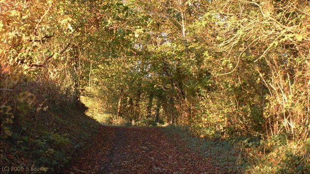 Wanchy-Capval (Chemin)