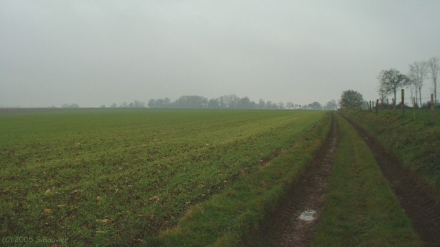 N-D d'Aliermont (Chemin)