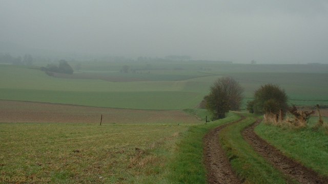 Ste Agathe d'Aliermont (Chemin 2)