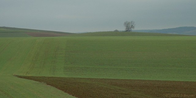 Vallée de l'Eaulne (Rideau)