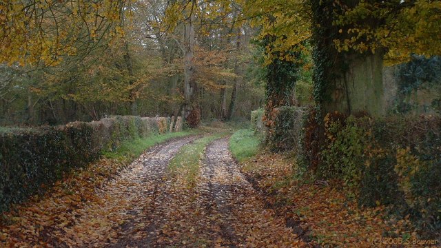 Croixdalle (Chemin)