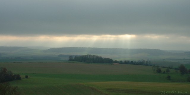 Vallée de la Béthune (Bois)
