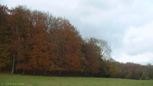 Bailly en Rivière (Hauts Bois)