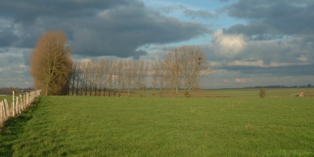 Plaine de Gouchaupré