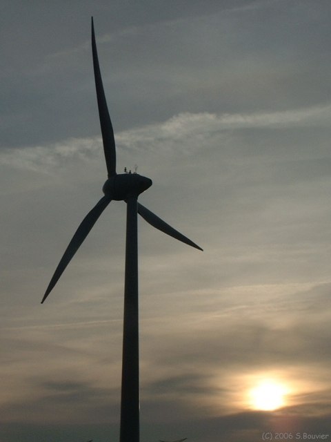 Assigny (Eolienne)