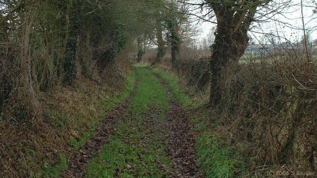 Ste Beuve (Chemin)