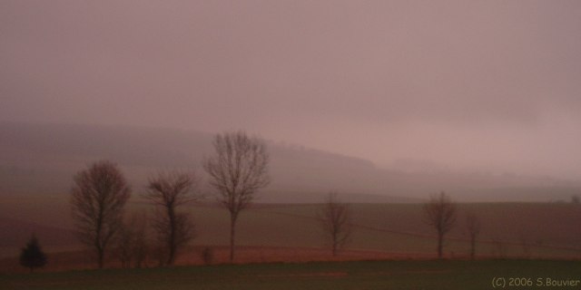 Ste Beuve (Coteaux 1)