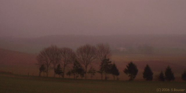 Ste Beuve (Coteaux 2)