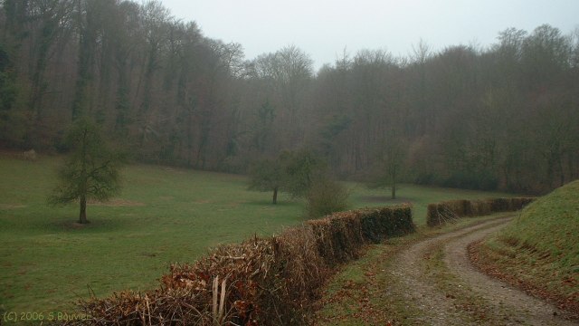 Aubermesnil aux Erables (Fond Pignon)