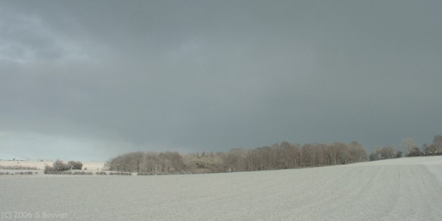 Coqueréaumont (Bois)