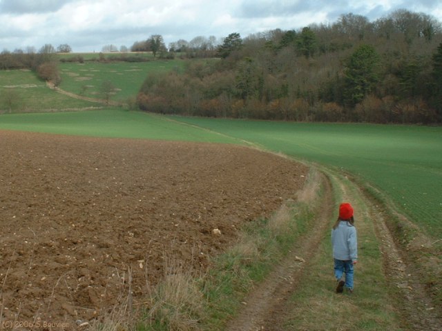 Mathonville (Fond 1)
