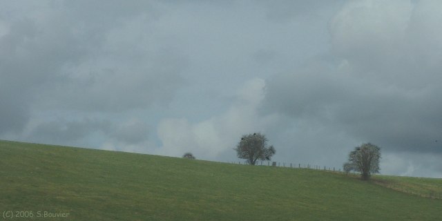 Montérolier (Trois Arbres)