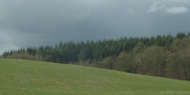 Montérolier (Bois 1)