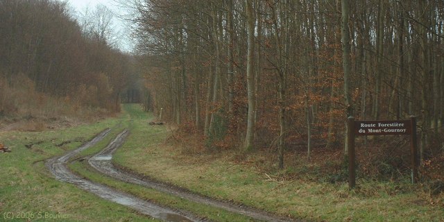 Rétonval (Route forestière)