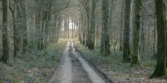 Varambeaumont (Chemin 2)