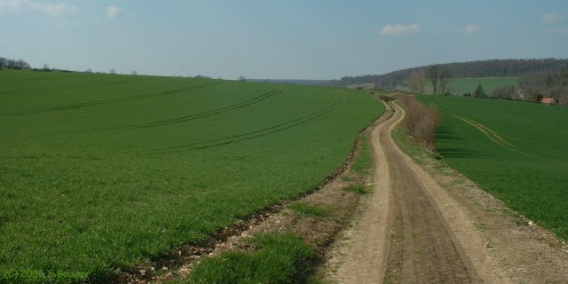 Quincampoix-Fleuzy (Chemin 1)