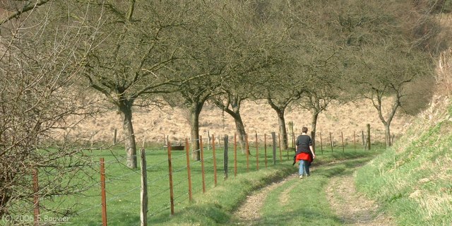 Quincampoix-Fleuzy (Chemin 2)