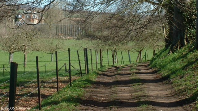 Ancourt (Chemin)
